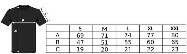 PILOT koszulka z nadrukiem