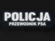 POLICJA PRZEWODNIK PSA naszywka odblaskowa