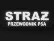 STRAŻ PRZEWODNIK PSA naszywka odblaskowa